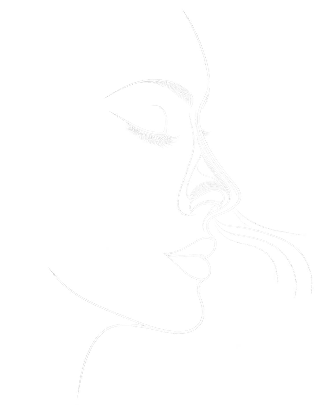 Ilustración médica en línea de una nariz para explicar la rinoplastia funcional y septorrinoplastia